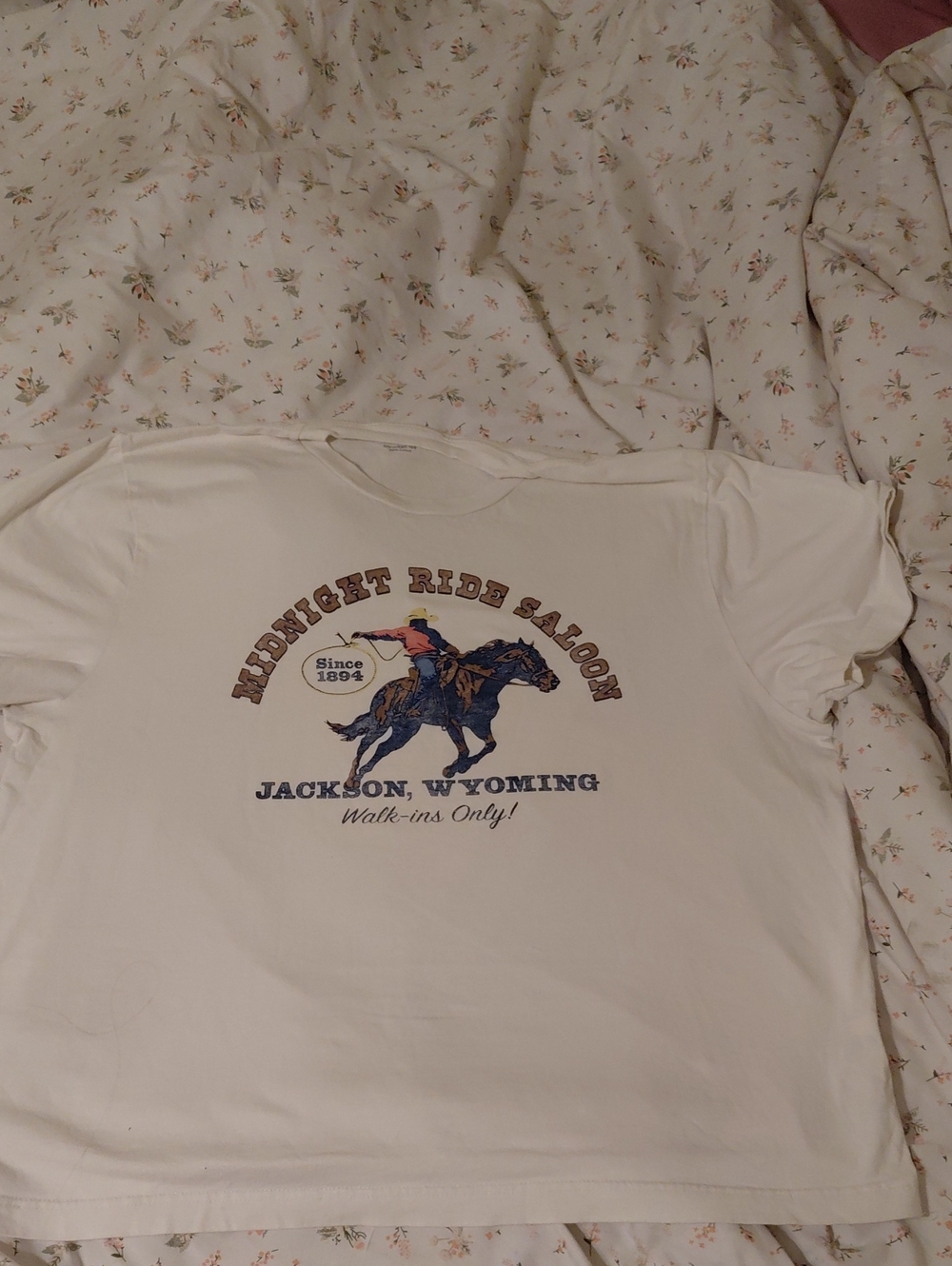 Hollister White Graphic Tee - Jackson, Wyoming Midnight Ride